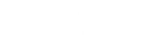 universal flavours