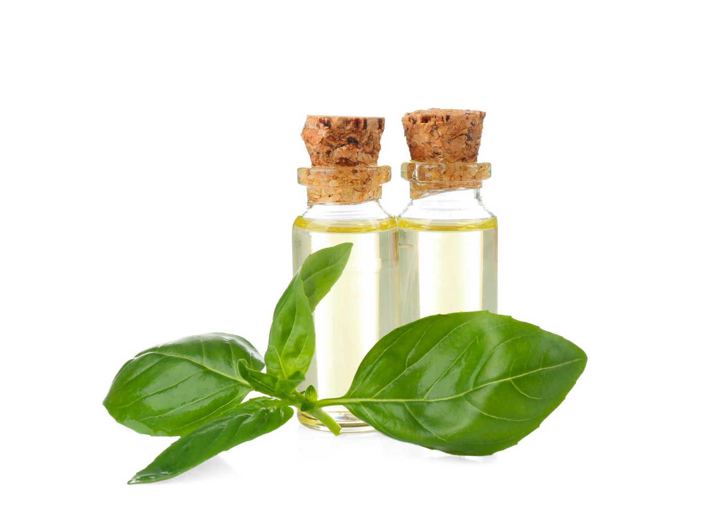 FA Basil (Oil Soluble)
