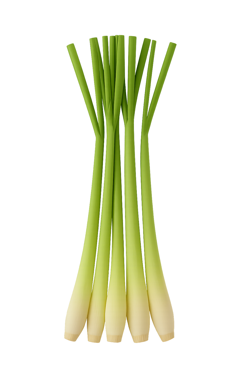 FA Lemongrass