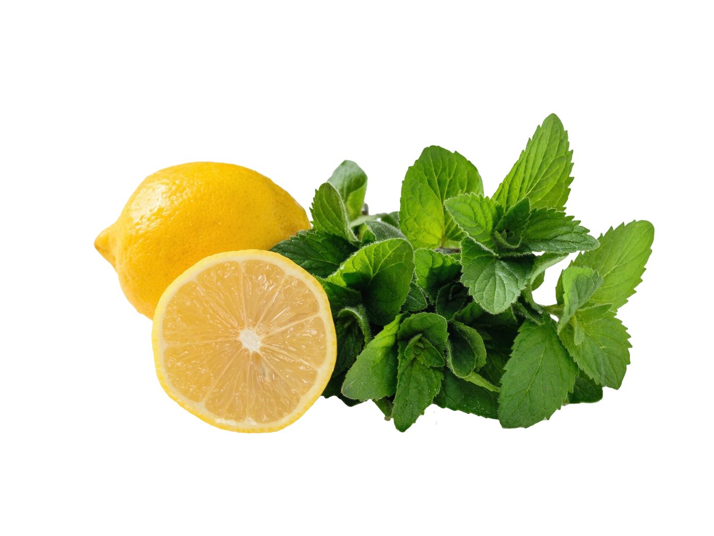 FA Lemon and Mint