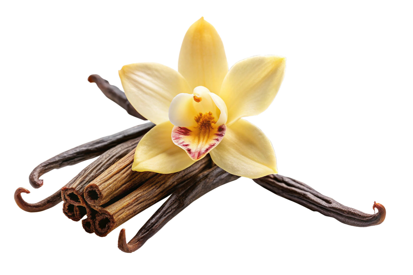WF Natural French Vanilla (Thick) SC
