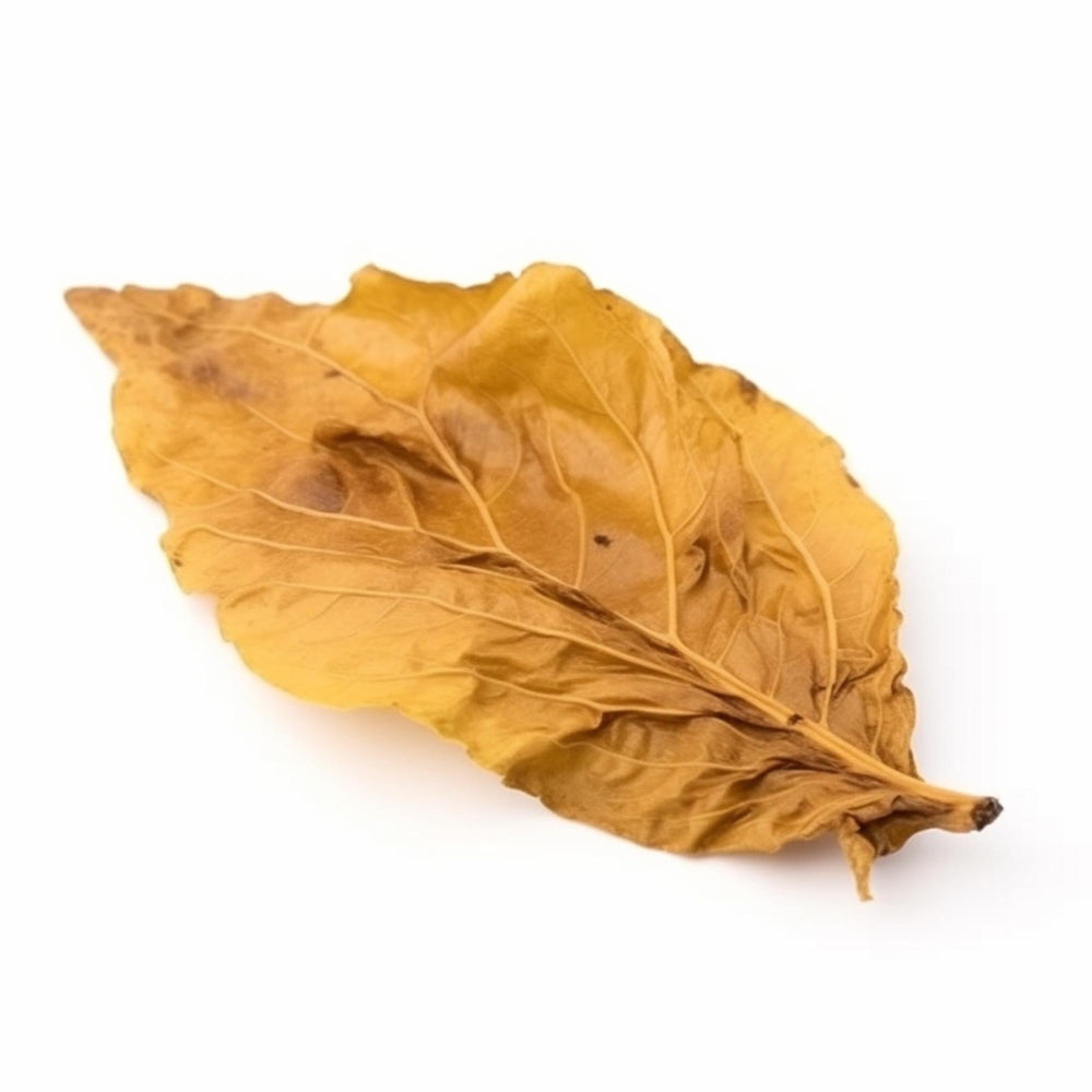 FLV Native T