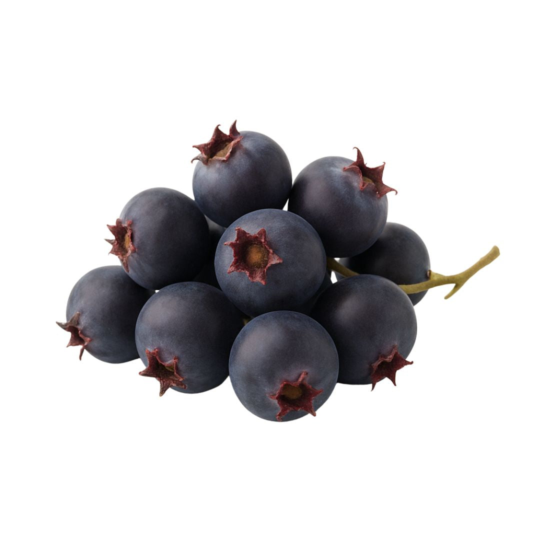 Natural Saskatoon Berries Flavouring Concentrate wonder flavours