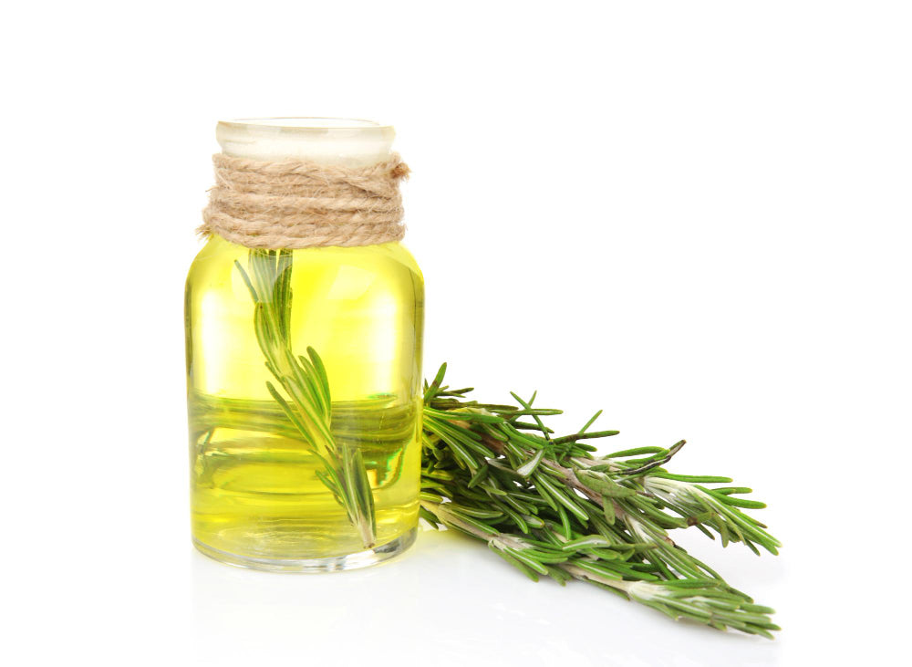 FA Rosemary (Oil Soluble)