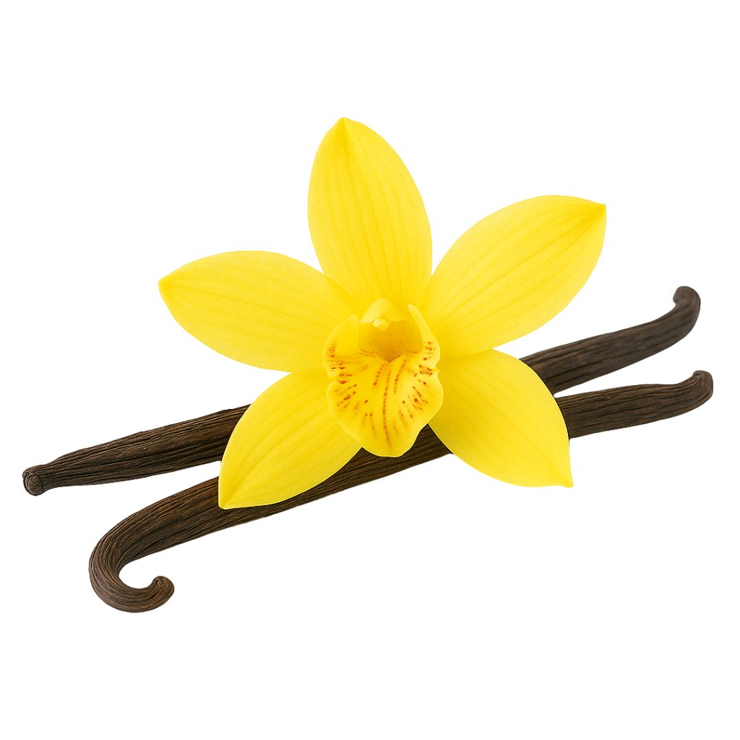 Vanilla Pompona Flavouring Concentrate wonder flavours