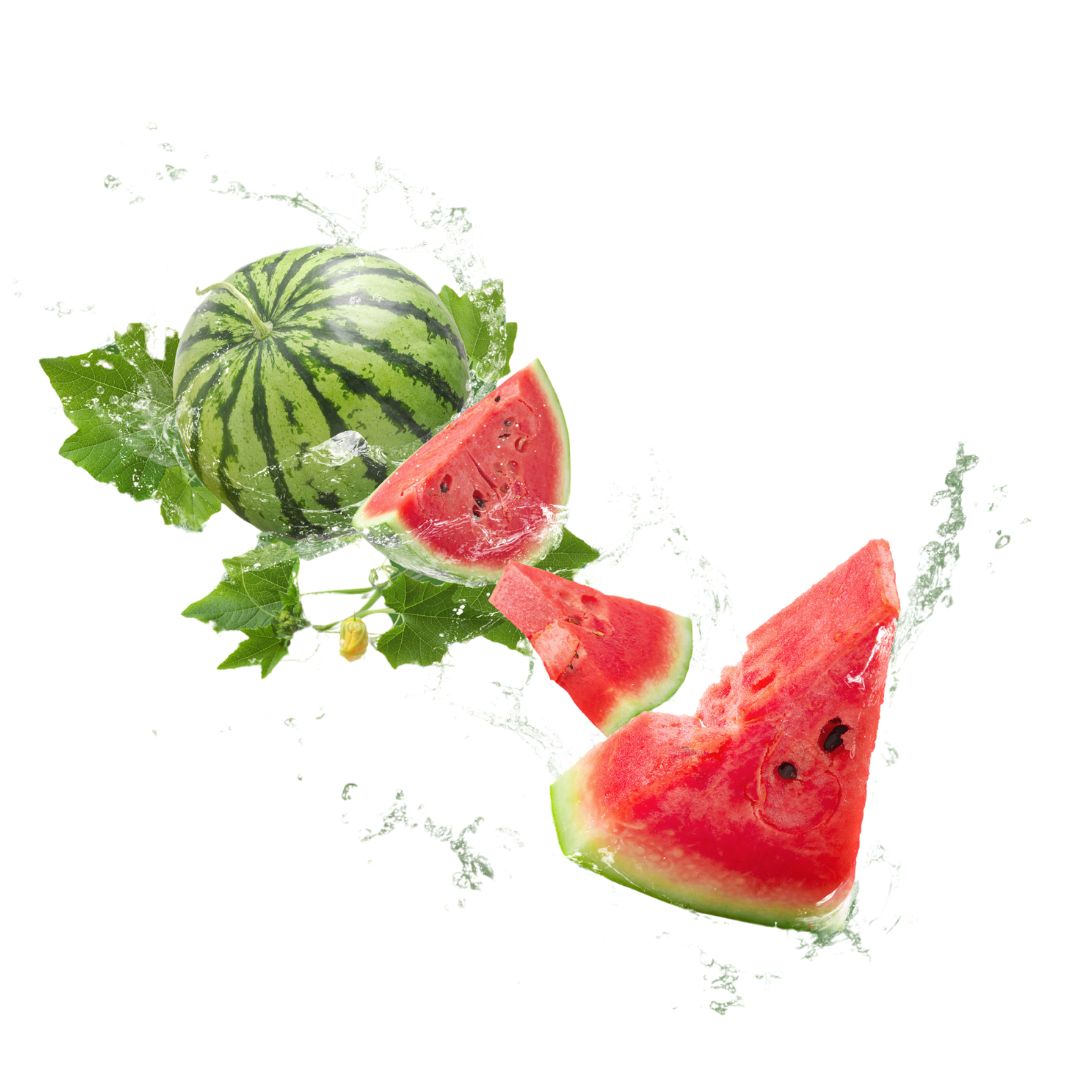 Capella XS Ripe Watermelon