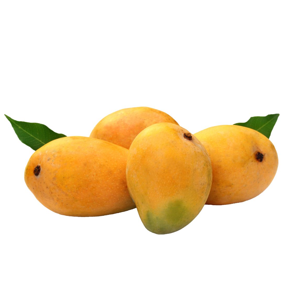 Capella XS Sweet Mango