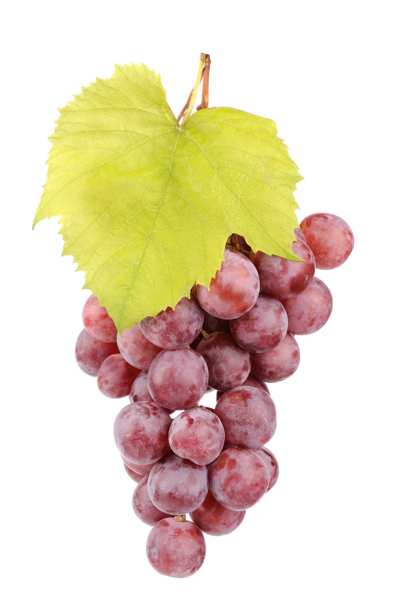 Flavor West Grape (Natural)
