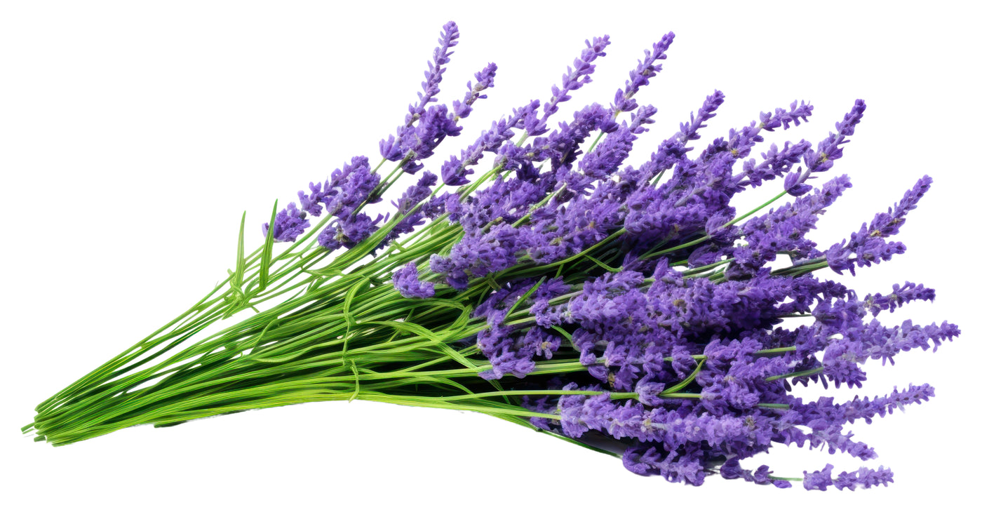 TFA Lavander