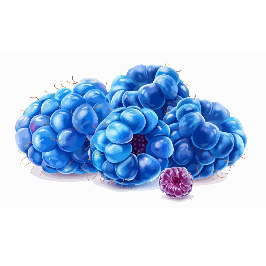 WF Sour Blue Raspberry SC