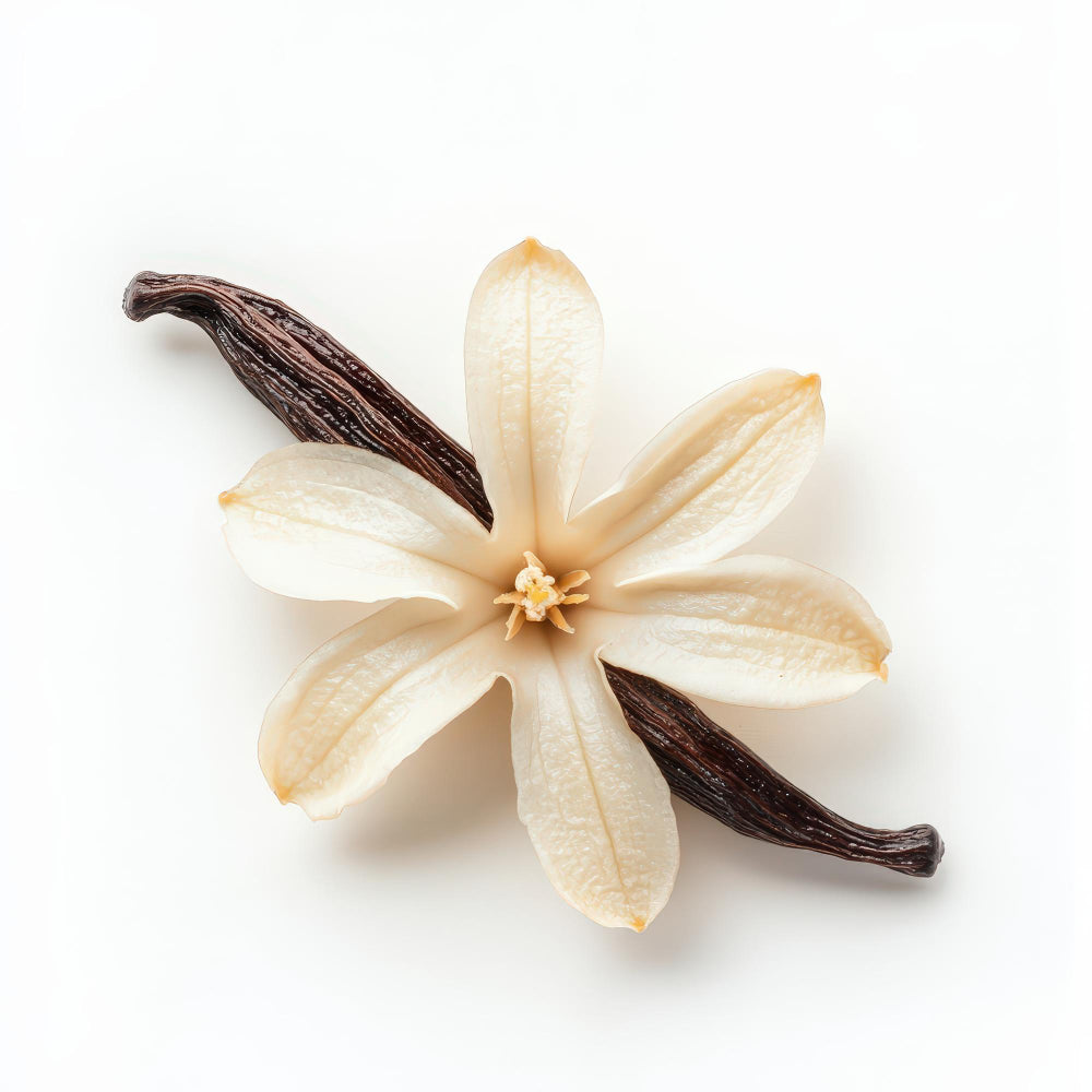 FLV Vanilla Bean