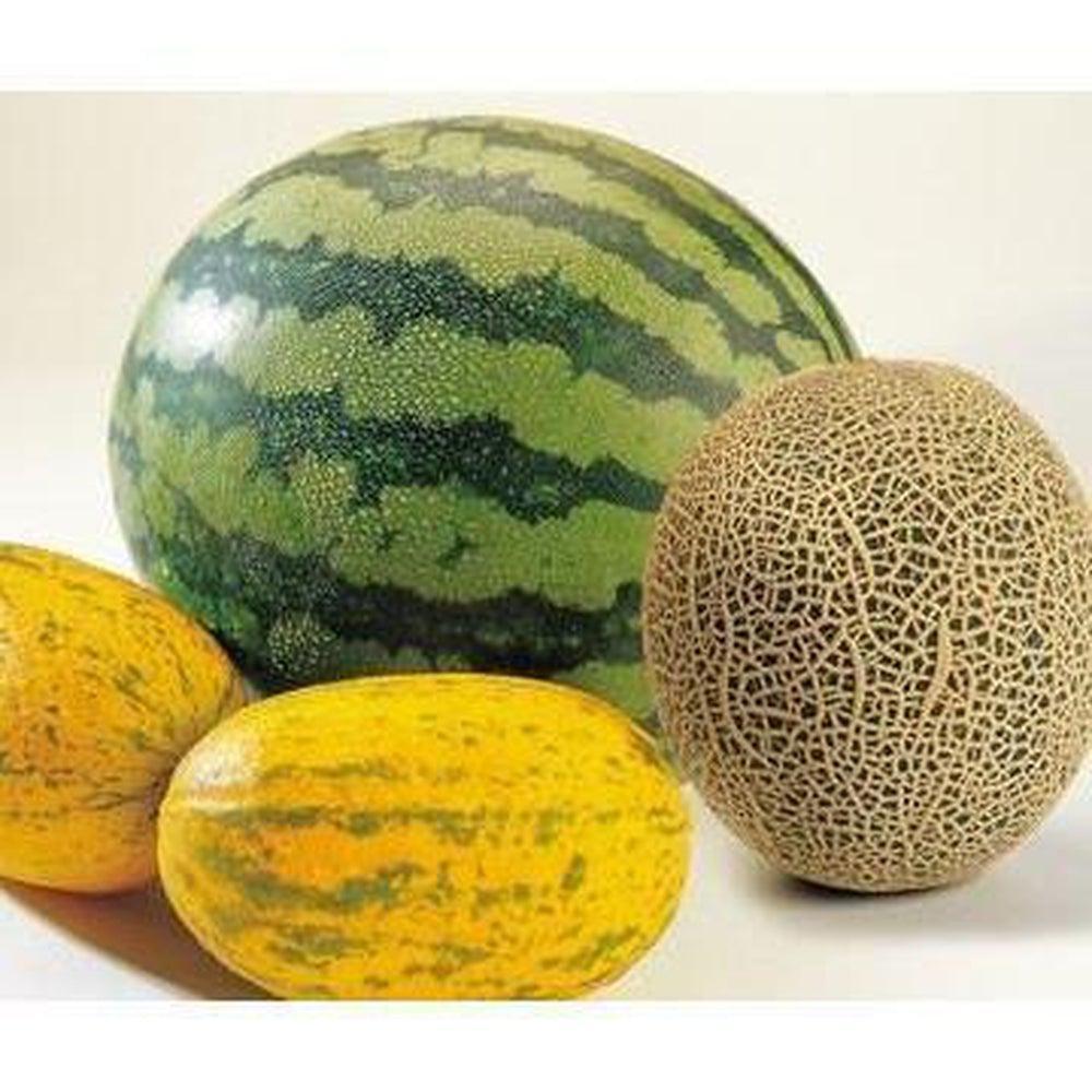 Inawera Melon-universal flavours