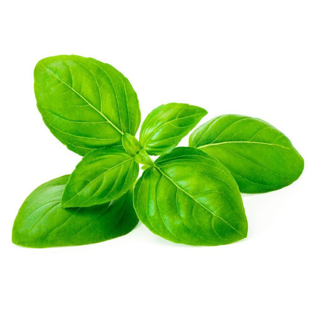 FLV Basil-universal flavours