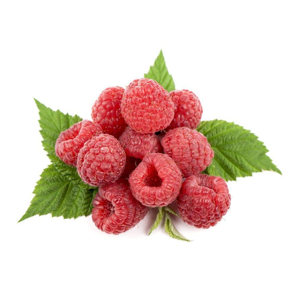 Capella Raspberry V1 exclusive at universal flavours