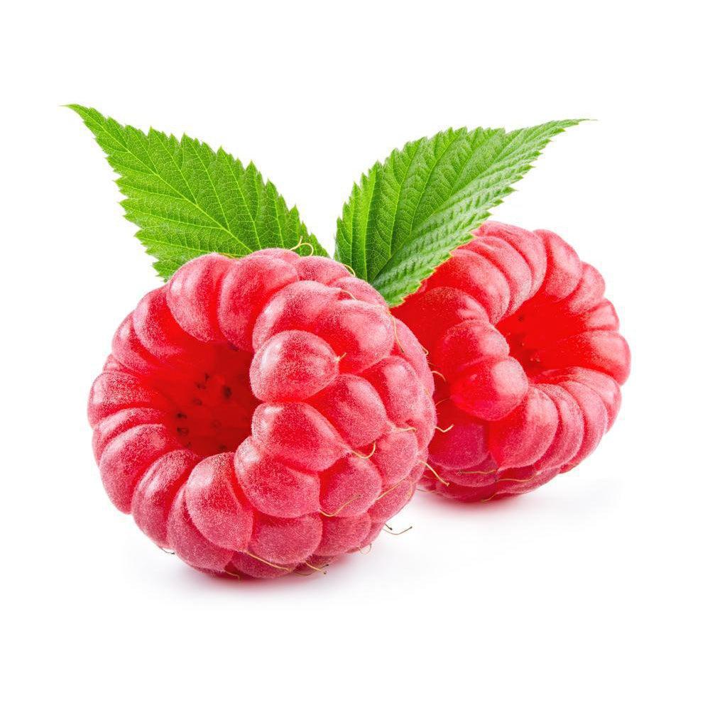 FA Raspberry-universal flavours